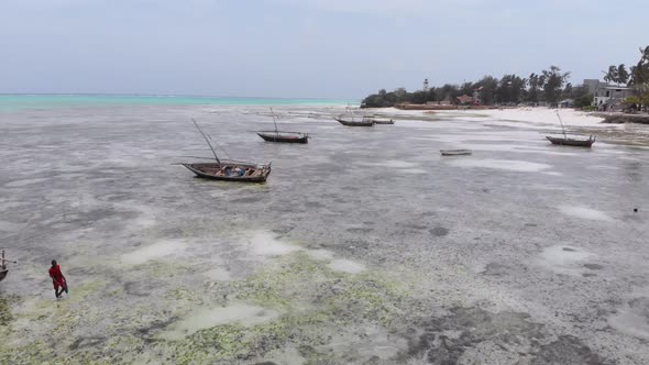 Lot Fishing Boats Stuck in Sand Off Coast at Low Tide Zanzibar Aerial View alt