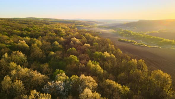 Aerial View of Woodland with Fresh Green Trees and Agricultural Arable Fields in Early Spring at alt