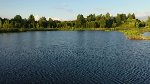 View of Lake with Trees and Plants on Horizon alt