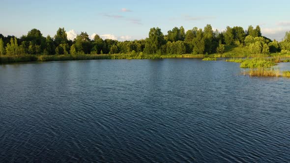 View of Lake with Trees and Plants on Horizon