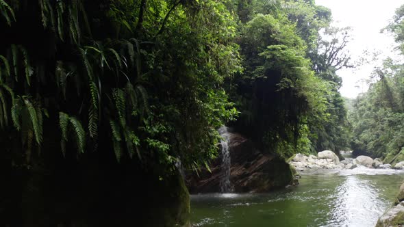 Flying along a small wall covered in green ferns towards a natural waterfall alt