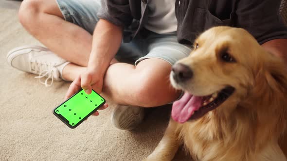 Young Man in Glasses Petting Golden Retriever in Livingroom alt