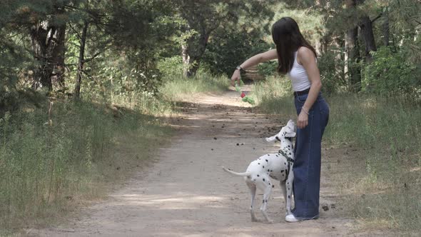 Girl Walking Her Dogs alt
