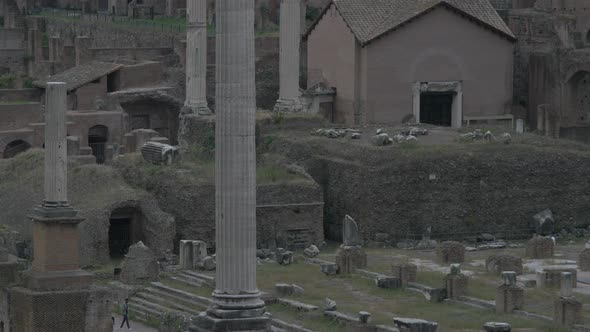 Tilt view of columns at the Roman Forum