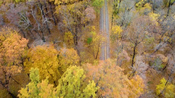 Aerial railway line, colorful yellow autumn forest