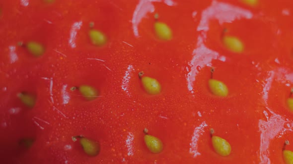 Macro Fresh Juicy Red Strawberry on Rotating Surface  Close Up