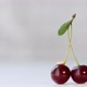 Little Worm and Cherry. - VideoHive Item for Sale