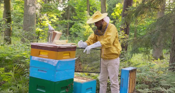 A Man Dressed in a Yellow Safety Suit and a Protective Head Net Stands in the Middle of the Forest alt