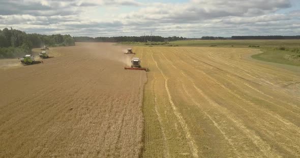 Aerial Panorama Harvesting of Wheat with Reaper Threshers alt