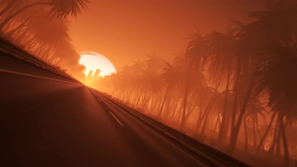 Endless tropical road full of palmtrees leading to the city during sunset. 4KHD