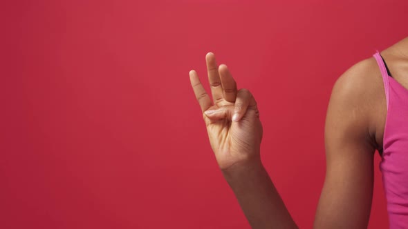 Hand Numbers Finger Counting Female One to Five alt