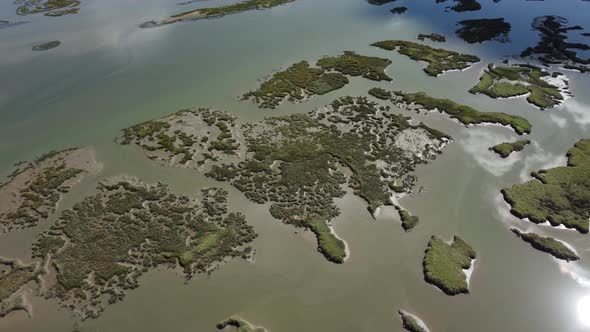 Aerial top down shot of swampland with rural islands and sunlight reflection in water - Wetland in P alt