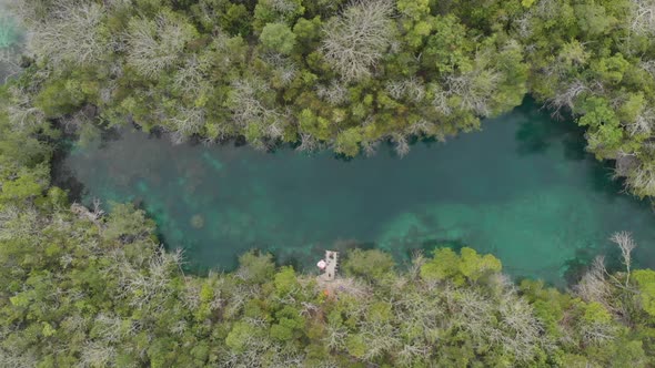 Aerial: top down tropical sea pristine coastline rainforest turquoise lagoon alt