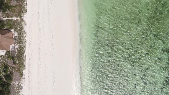 Vertical Video of the Coast of Zanzibar Island Tanzania Slow Motion alt