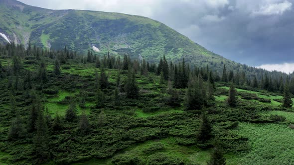 Bird-eye Wiev of a Rocky Grassy Mountain Range with a Trees and Hiking Trails on It.