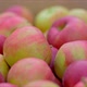 Apples  - VideoHive Item for Sale