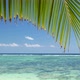 Palm Leaf on Tropical Beach Peaceful Swaying in Breeze Against Ocean Turquoise Lagoon with Reef - VideoHive Item for Sale