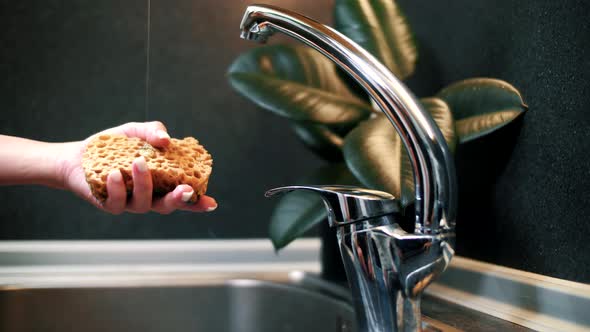 Woman pours detergent onto a sponge and foams it before washing dishes. 