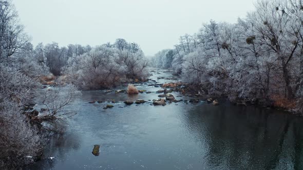 River Among Trees in Winter alt