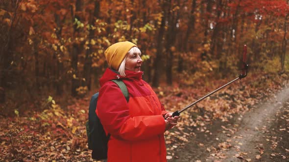 Woman Tourist Takes a Selfie on a Smartphone with a Selfie Stick Walking in the Fall Forest on a