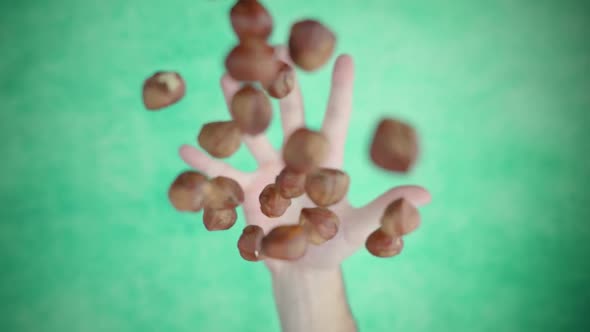 Hand Throws Up Handful of Chestnuts at Studio Backdrop alt