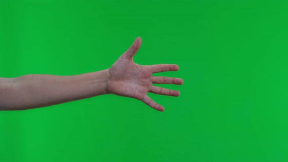 Close Up of Isolated on Green Background Adult Female Hand Counting From 0 to 5 alt