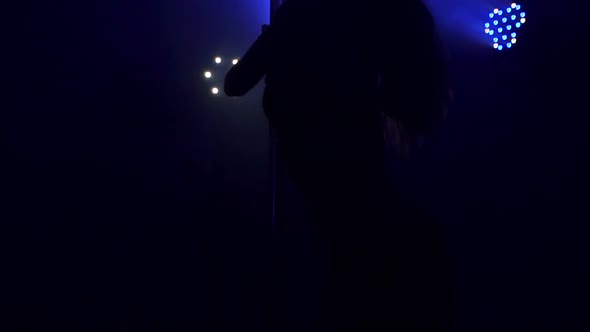 The Silhouette of a Sexy Girl Dancing on a Pole alt