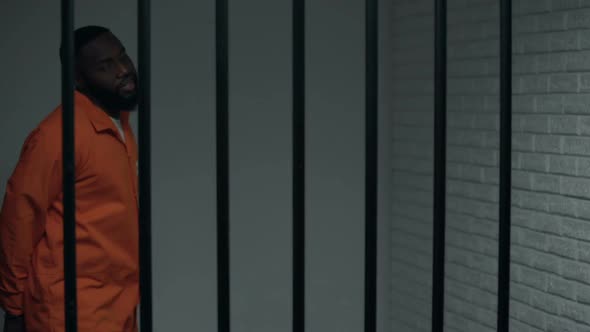 Jail Security Guard Pushing African-American Prisoner, Using Violence, Abuse alt