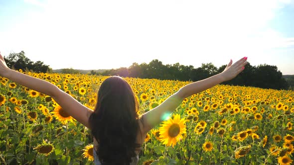 Attractive Girl with Raised Hands Standing Among Sunflowers Field alt