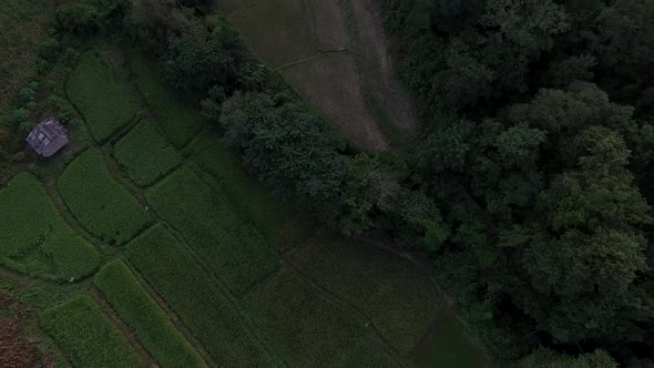 mountainous terrain aerialin North of Thailand alt