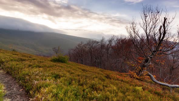 Carpathians Pylypets Ukraine