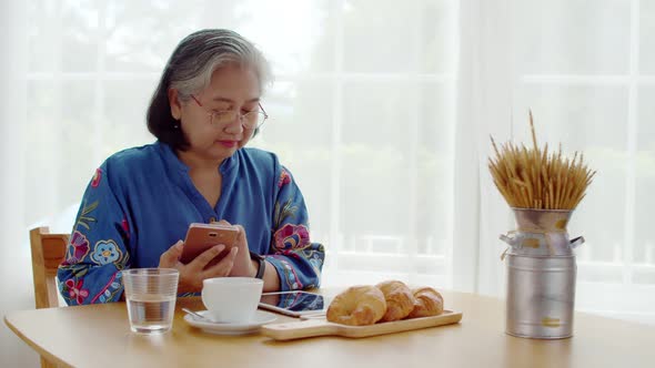 Senior woman use smartphone payment with QR Code 