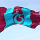 Trabzonspor Fc flag waving - VideoHive Item for Sale