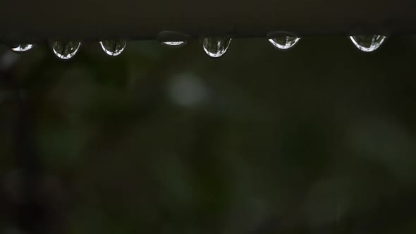 Rain dropping during a storm alt