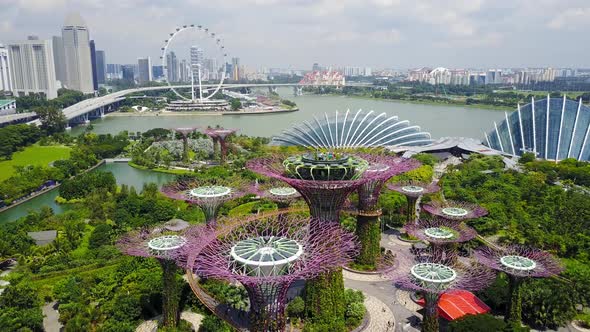 Aerial View of The Supertree Grove at Gardens by the Bay in Singapore