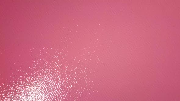Straight down aerial shot of pink algae lake water, moving forward alt