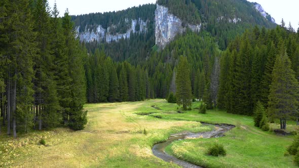 Mountain forest river valley with green meadow. Altai mountains Siberia. alt