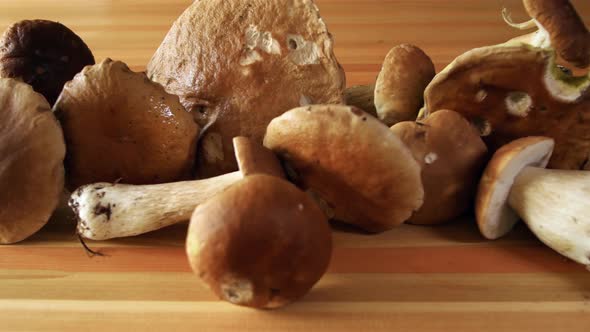 Porcini Mushrooms on the Table