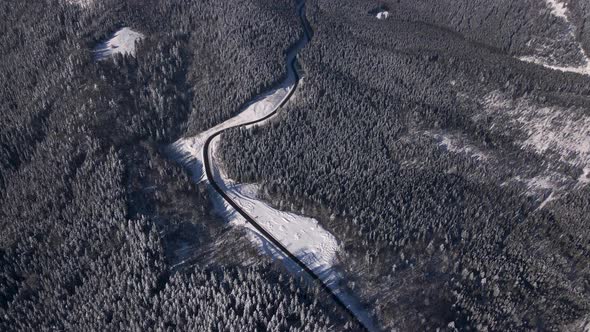 Top Down Landscape View of the Winter Carpathians Forest and Mountain Valleys Aerial Drone View