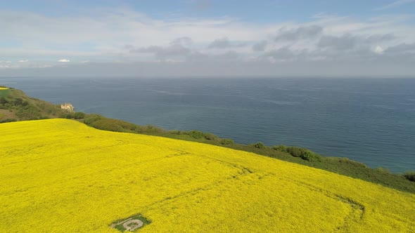 Aerial flying over Longues sur Mer rapeseed field. Atlantic wall, Normandy alt