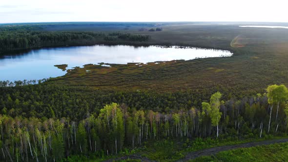 A Lake in the Depths of the Taiga the Drone Flies Over the Trees Descends to the Swamp of Siberia alt