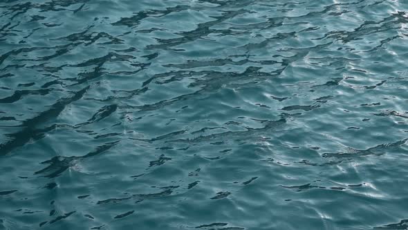 Water Surface