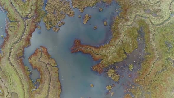 Aerial view of lake water connecting with wetland field, Netherlands. alt