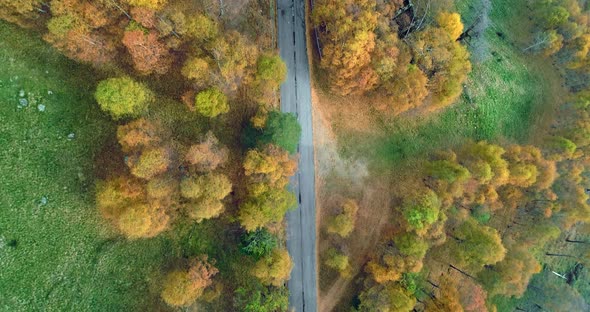 Overhead Aerial Top View Following Over Road in Colorful Countryside Autumn Forest