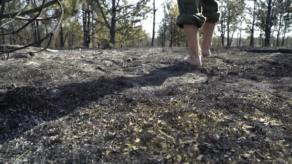 Man Walking Barefoot By Burned Grass After Big Forest Wildfire, Ecological Disaster, Nature