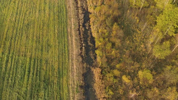Aerial Reclamation Ditch Between Field and Forest alt