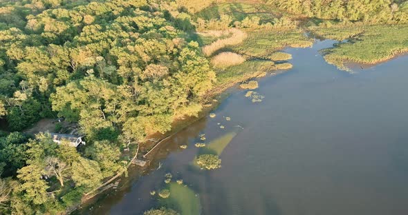 Aerial Topdown View River in Green Forest alt