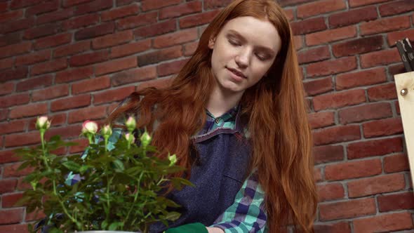 Beautiful Redhead Girl Looking After Flowers