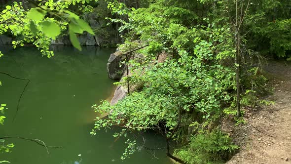 Forest Road. The path between the trees leads to the forest alt