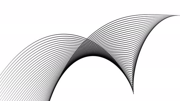 Black Color Geometric Line Animation On White Background alt